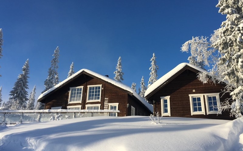 Vinterbild båda husen